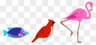 If You Think Of Anything Brightly Colored In The Animal Clipart