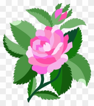 Baby Rose Clipart - Png Download