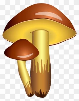 Clipart Of Mario And Fungi - Png Download