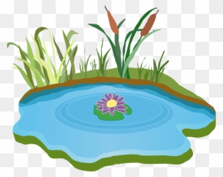 Pond Water Outdoor - Free Clipart Pond - Png Download