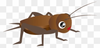 Free Cricket Insect Clipart Images Transparent Png - コオロギ イラスト