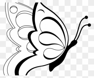 Fly Clipart Transparent - Butterfly Images For Drawing With Colour - Png Download