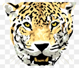 Head Clipart Cheetah - Jaguar Animal Drawing Face - Png Download