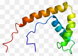 Clip Art Library Download Dna Clipart Wikipedia - Proteina Hmg - Png Download