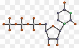 Adenosine Triphosphate Dna Nucleotide Ribose - Nucleotide Clipart - Png Download