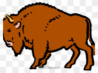 Buffalo Clipart Png - Dirty Buffalo Transparent Png