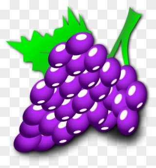Nicubunu Grapes Image - Purple Grapes Shower Curtain Clipart