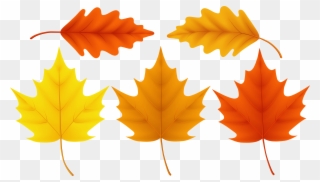 Thanksgiving Leaves Color Clipart