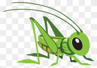 Clipart Black And White Stock Png - Cartoon Grasshopper Transparent Png