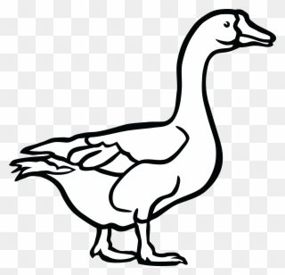 742 Free Clipart Of A Goose In Black And White Duck - Goose Black And White Clip Art - Png Download
