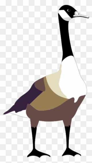 Bird Free Vector - Cartoon Canadian Goose Png Clipart