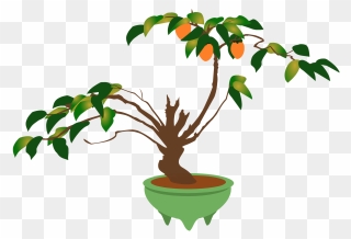 Branch Bonsai Flowerpot Ornamental Plant Houseplant - Tree Pot Clipart - Png Download