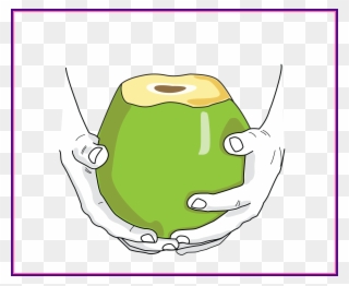Coconut Clipart Cute - Harmless Harvest Thailand Ltd - Png Download