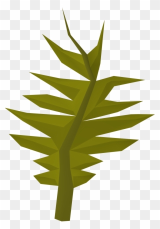 Seaweed Clipart Swamp - Wiki - Png Download