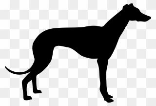 Italian Greyhound Whippet Animal Silhouettes - Greyhound Silhouette Clipart