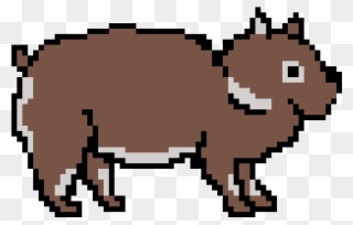 Wombat-idle Clipart
