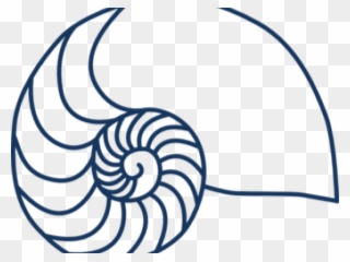 Shell Clipart Nautilus Shell - Png Download