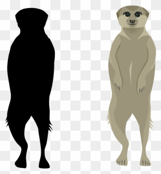 One Thing I Do Wish I Had Changed Was The Meerkats Clipart
