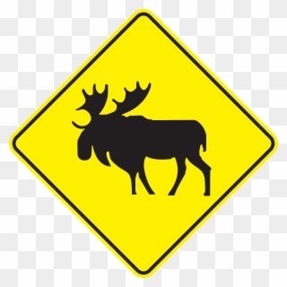 Moose Crossing Dim Clipart