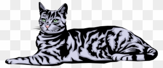 Vector Illustration Of Housecat Small Domesticated Clipart (#3150556 ...