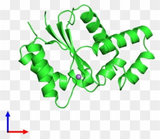 Pdb 3jrn Coloured By Chain And Viewed From The Front Clipart