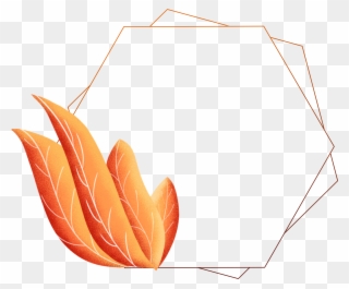Hand Painted Border Plants Leaves Coral Orange Png Clipart