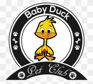 Baby Duck - Portable Network Graphics Clipart
