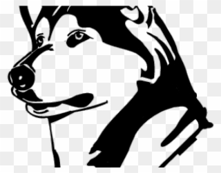 Husky Clipart Face - University Of Washington Huskies - Png Download