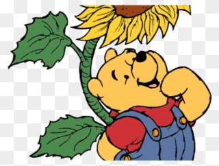Sunflower Clipart Summer - Winnie The Pooh With Sunflower - Png Download