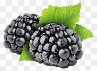 Blackberry Png - Blackberry Fruit Png Clipart
