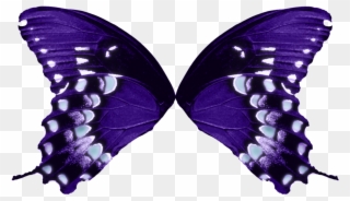 1123 X 711 16 - Butterfly Wings Transparent Background Clipart