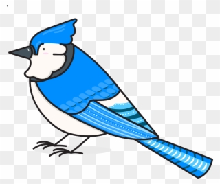 Bird Nerds Stickers Messages Sticker-0 - Blue Jay Clipart