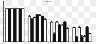 Effect Of Compounds On Cell Proliferation Of Caski Clipart