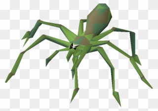 Transparent Green Spider - Spider Lvl 2 Runescape Clipart