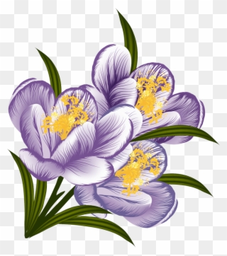 Árvores, Jardim E Etc - Drawing Clipart