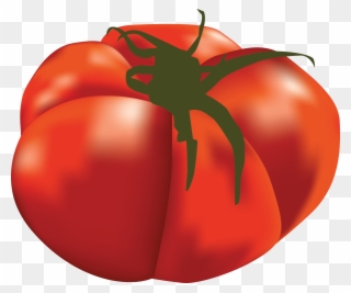 Popular Guide Part Steemit - Plum Tomato Clipart