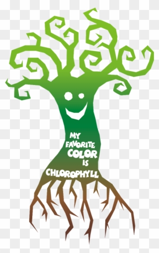 Chlorophyll Is Only In The Plant Cell And Is In The - Illustration Clipart