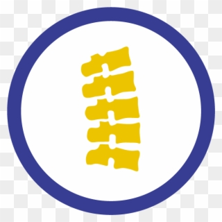 Vertebral Compression Fractures Clipart