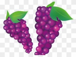 Grape Clipart Violet - Grape Vector - Png Download