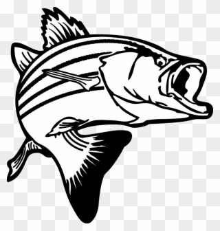 Special Fish Images Free Clip Art Jumping Bass Clipart - Black And White Fishing Clipart - Png Download