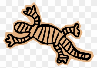 Vector Illustration Of Salamander Lizard-like Amphibian - Illustration Clipart