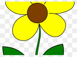 Yellow Flower Clipart - Clipart 5 Petal Flower - Png Download
