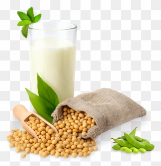 Soybean Png Free Image - Soy Png Clipart