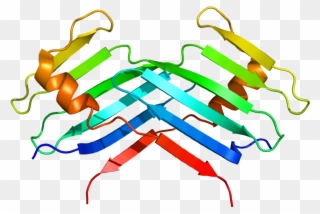 Serine/threonine Protein Kinase Plk4 Also Known As - Plk4 Protein Clipart