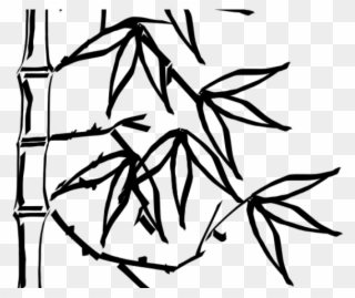 Drawn Bamboo Simple - Bamboo Leaf Clipart Black And White - Png Download