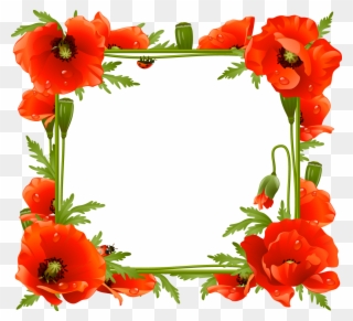 Flower Frame - Poppies Frame Clipart
