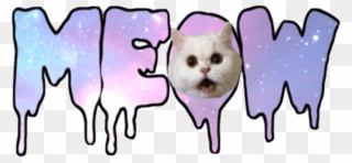 Meow Sticker - Kawaii Meow Clipart