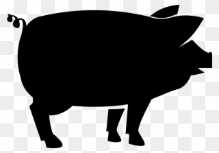 Png File - Domestic Pig Clipart