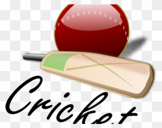 Jam Clipart Transparent - Cricket Sport Clipart - Png Download