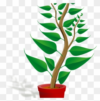 Clip Art Mehmetcetinsozler Com Popular Categories Love - Getting To Know Plants - Png Download
